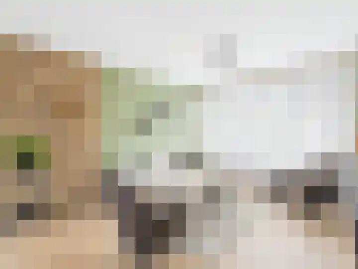 Stijn Streuvelsstraat 27 Hulst thumbnail 8
