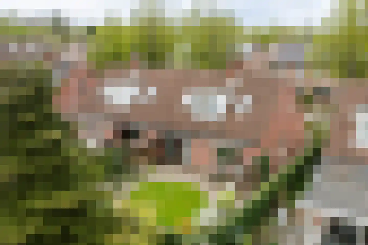 Stijne van Sallandtstraat 28 Diepenveen thumbnail 32