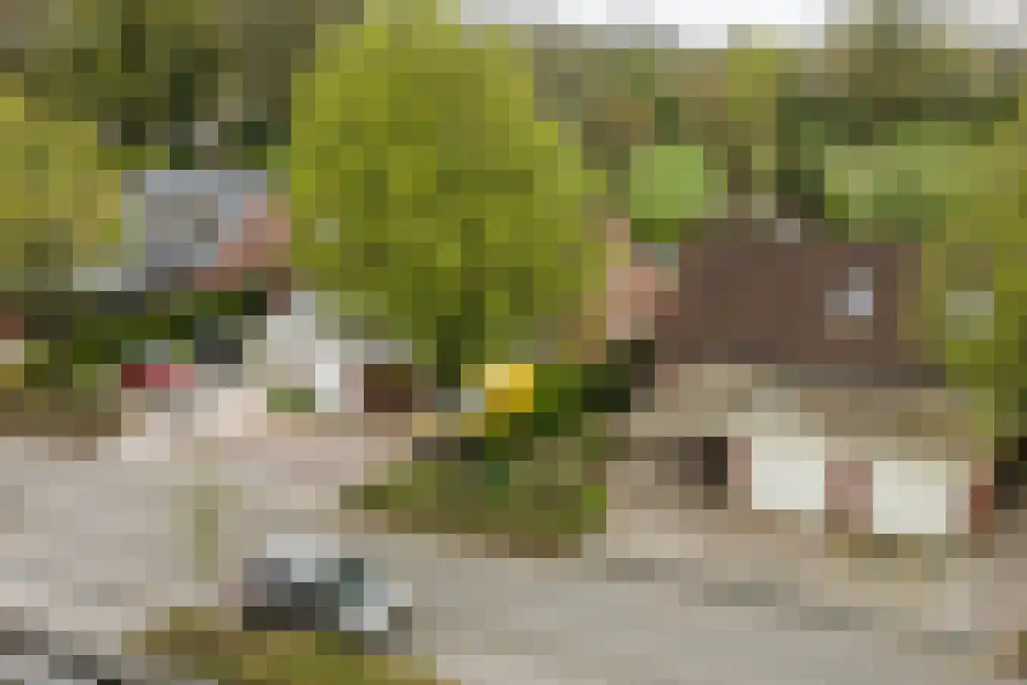 Stijne van Sallandtstraat 28 Diepenveen thumbnail 33