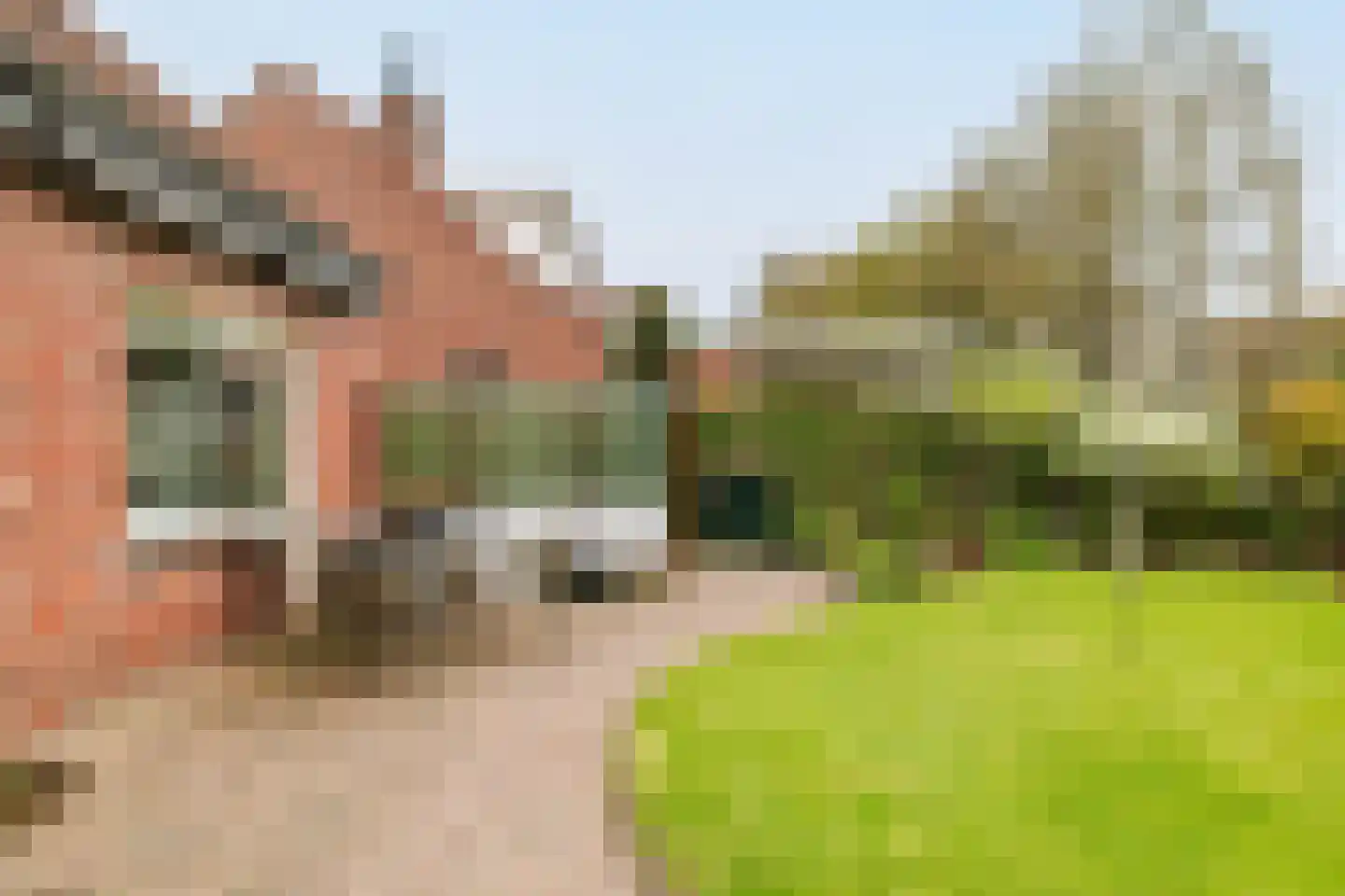 Stijne van Sallandtstraat 28 Diepenveen thumbnail 36
