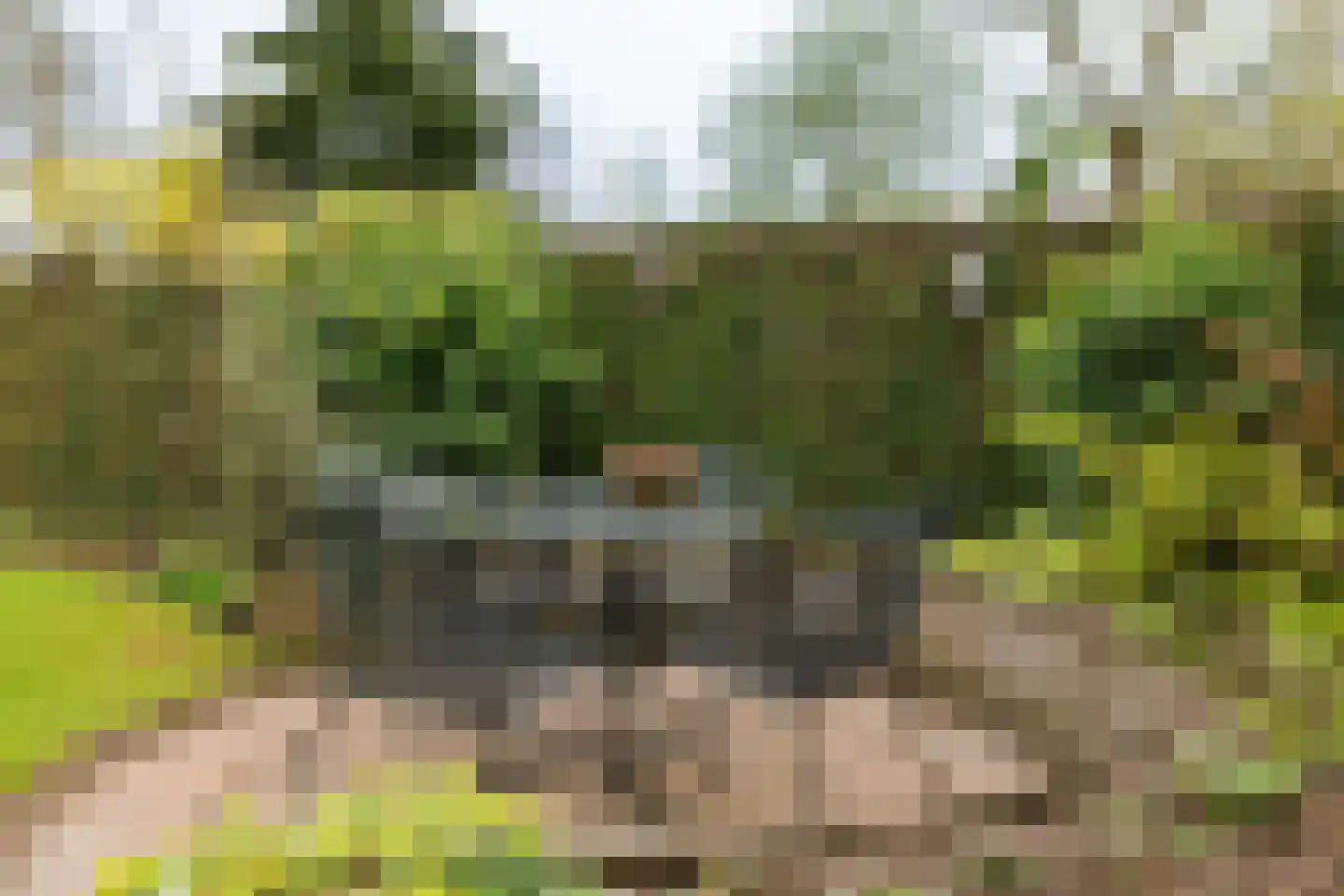 Stijne van Sallandtstraat 28 Diepenveen thumbnail 37