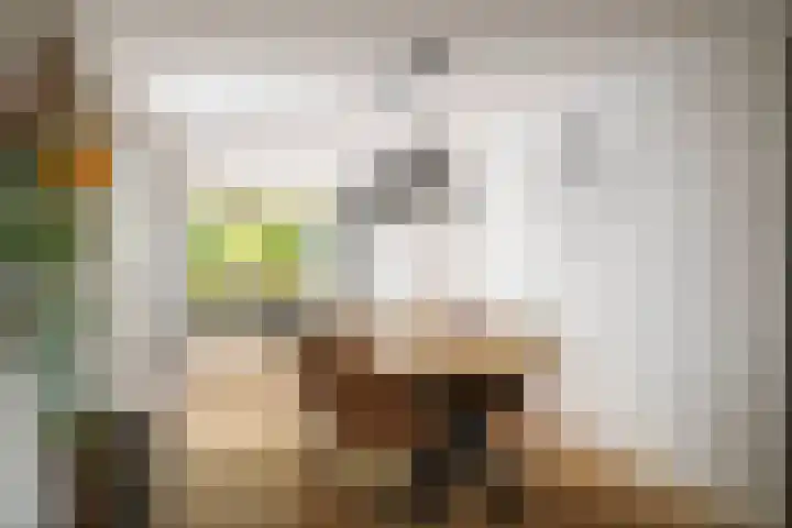 Stijne van Sallandtstraat 42 Diepenveen thumbnail 11