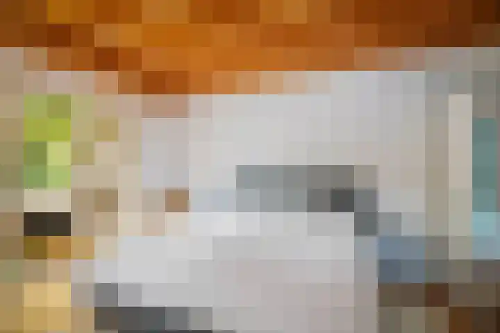Stijne van Sallandtstraat 42 Diepenveen thumbnail 18