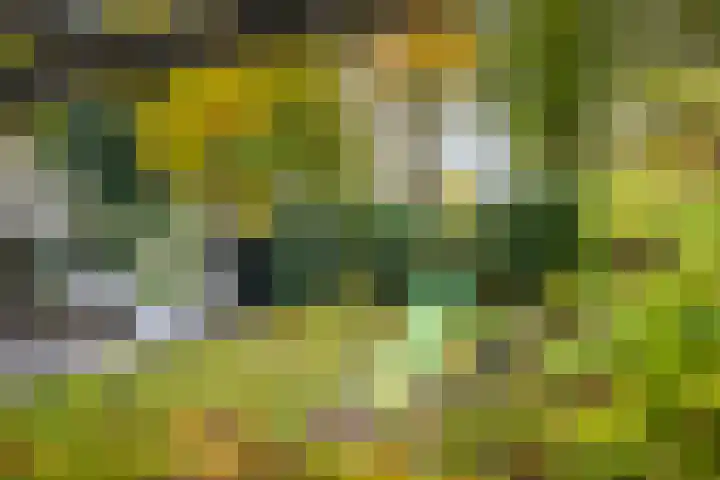 Stijne van Sallandtstraat 42 Diepenveen thumbnail 37