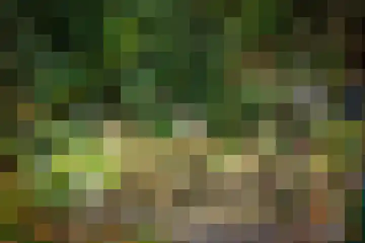 Stijne van Sallandtstraat 42 Diepenveen thumbnail 38