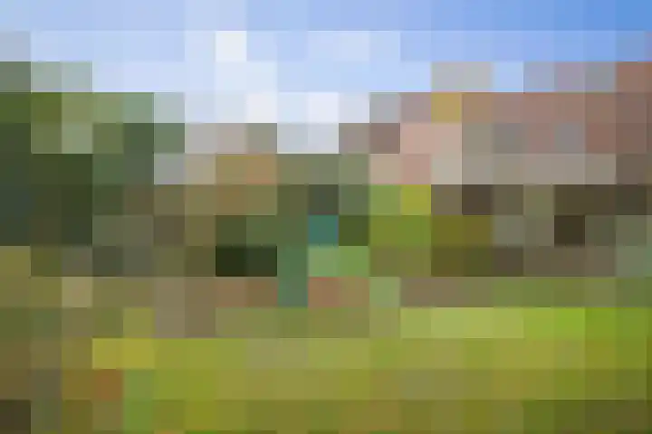 Stijne van Sallandtstraat 42 Diepenveen thumbnail 39