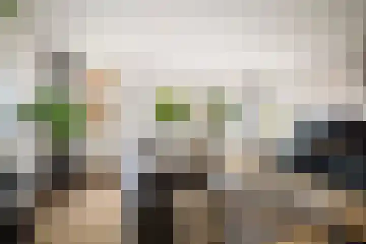 Stijne van Sallandtstraat 42 Diepenveen thumbnail 4