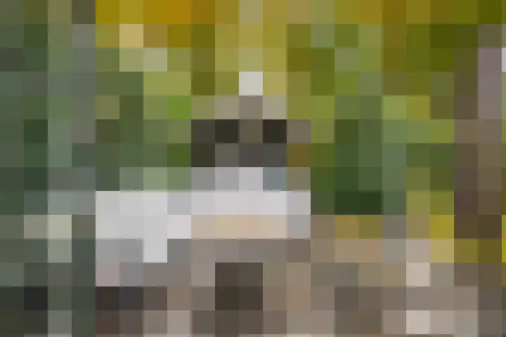Stijne van Sallandtstraat 42 Diepenveen thumbnail 41