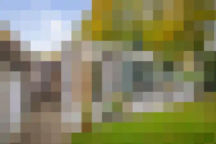 Stijne van Sallandtstraat 42 Diepenveen thumbnail 42
