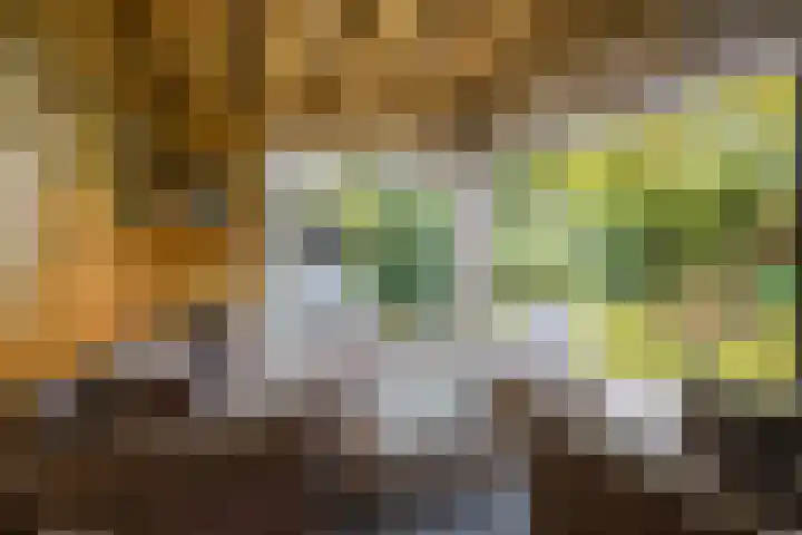 Stijne van Sallandtstraat 42 Diepenveen thumbnail 44
