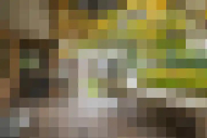 Stijne van Sallandtstraat 42 Diepenveen thumbnail 46