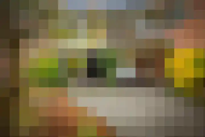 Stijne van Sallandtstraat 42 Diepenveen thumbnail 47