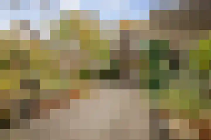 Stijne van Sallandtstraat 42 Diepenveen thumbnail 48