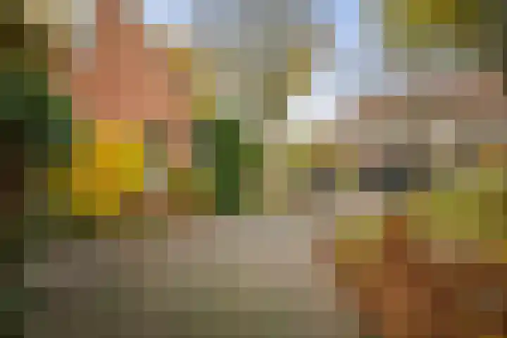 Stijne van Sallandtstraat 42 Diepenveen thumbnail 49