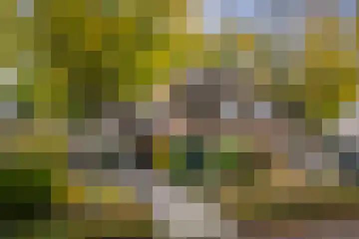 Stijne van Sallandtstraat 42 Diepenveen thumbnail 50