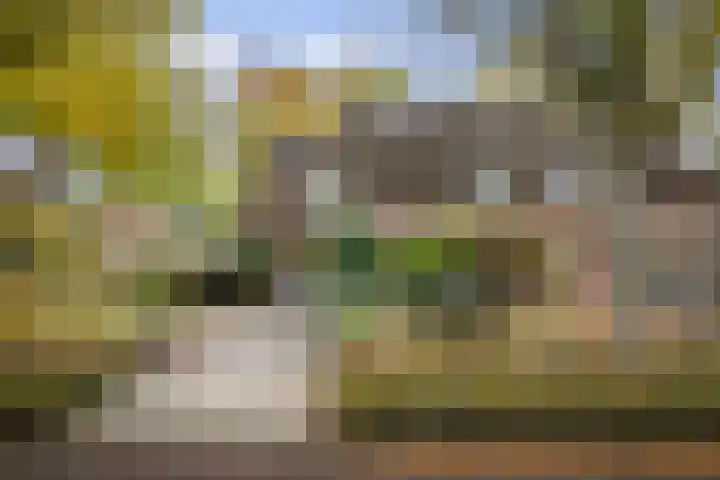 Stijne van Sallandtstraat 42 Diepenveen thumbnail 51
