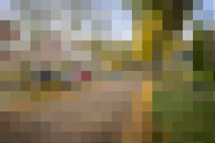 Stijne van Sallandtstraat 42 Diepenveen thumbnail 52