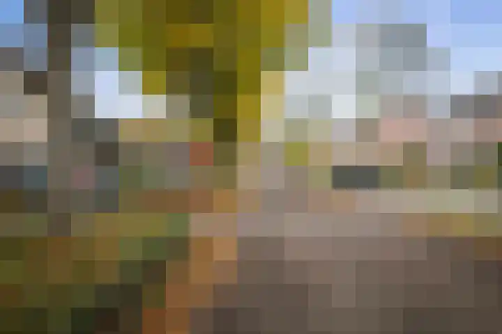 Stijne van Sallandtstraat 42 Diepenveen thumbnail 53