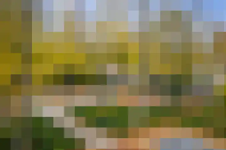 Stijne van Sallandtstraat 42 Diepenveen thumbnail 54