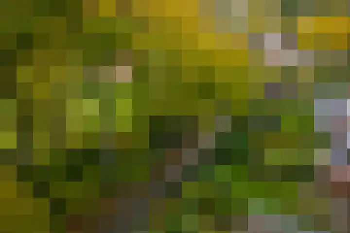 Stijne van Sallandtstraat 42 Diepenveen thumbnail 59