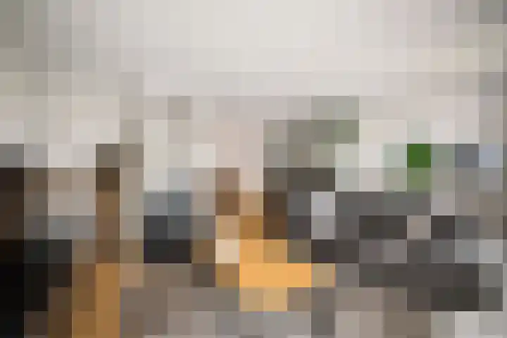 Stijne van Sallandtstraat 42 Diepenveen thumbnail 6