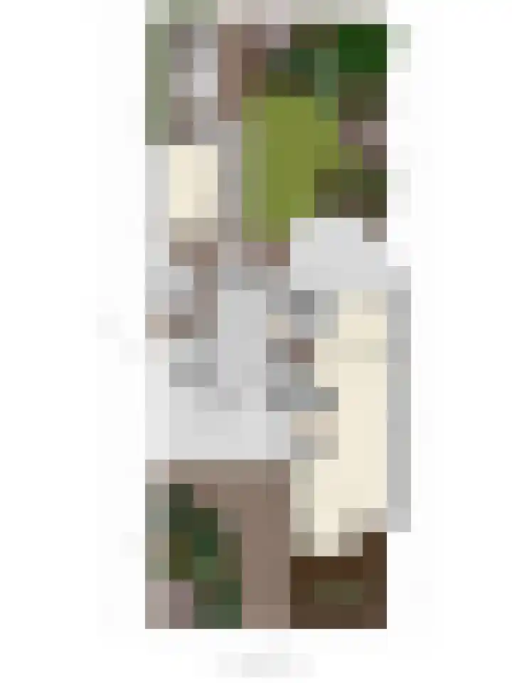 Stijne van Sallandtstraat 42 Diepenveen thumbnail 65
