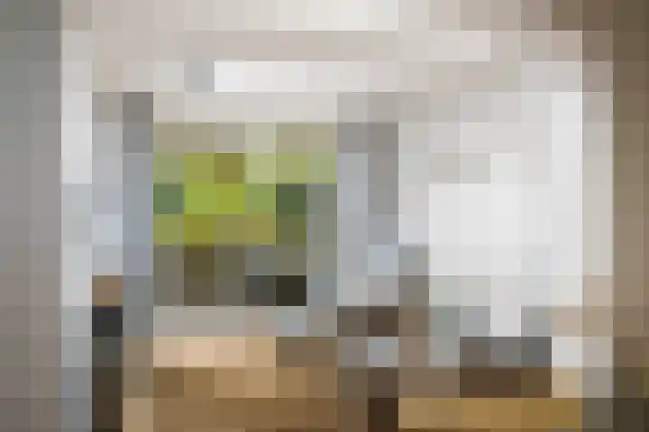 Stijne van Sallandtstraat 42 Diepenveen thumbnail 7