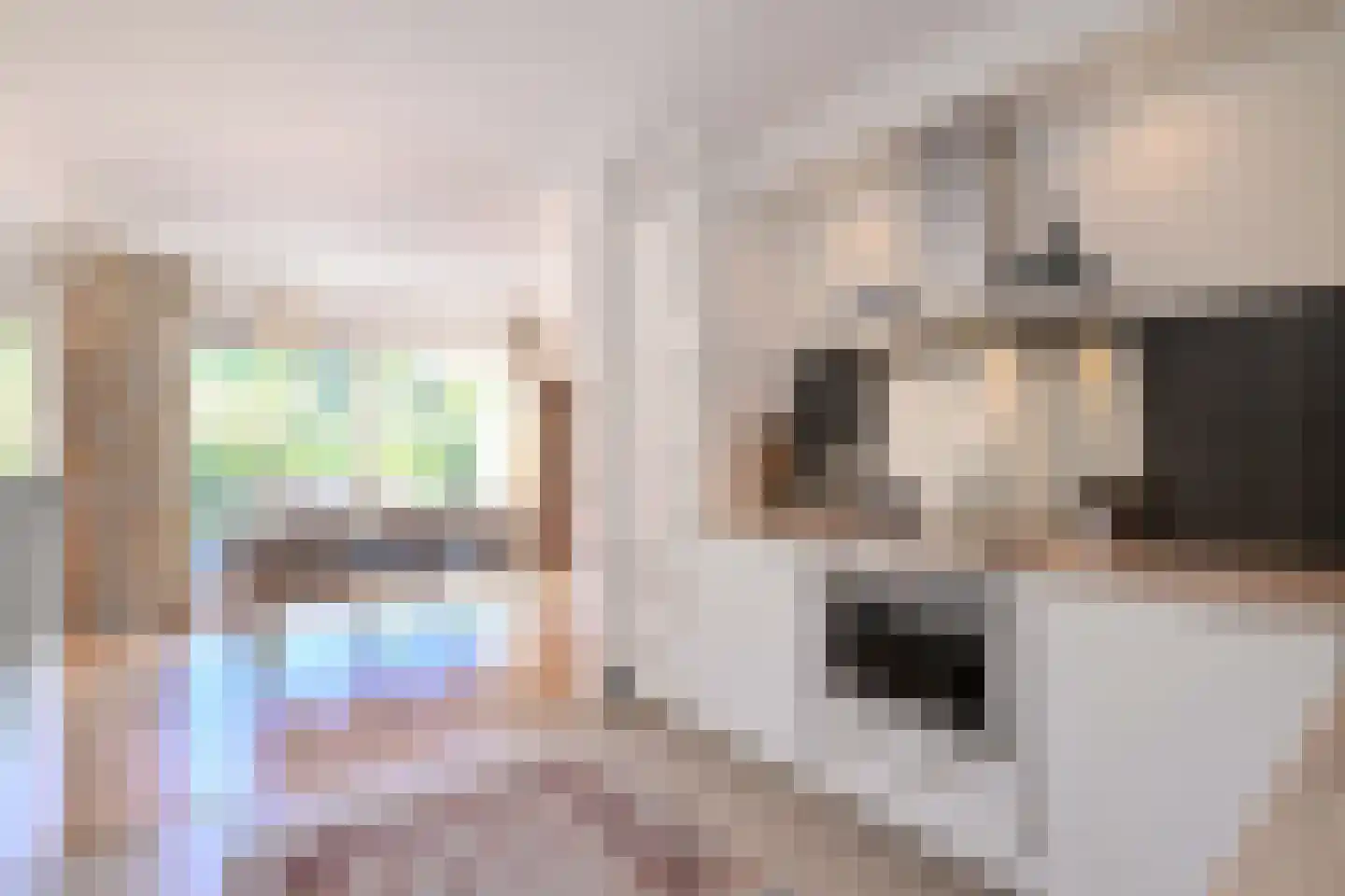 Stijne van Sallandtstraat 6 Diepenveen thumbnail 11