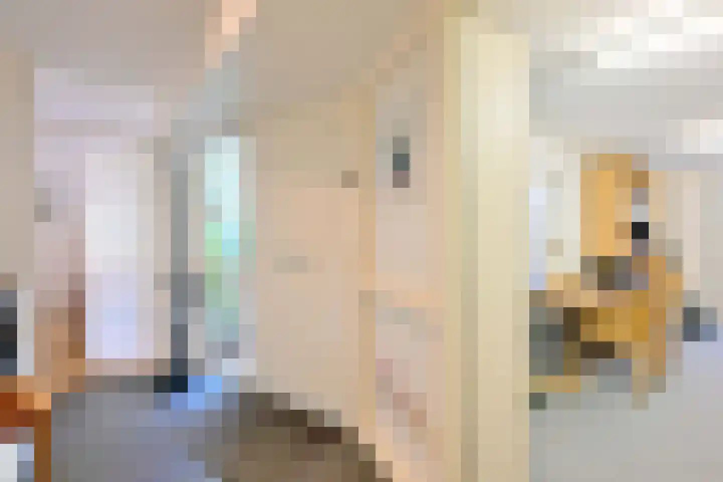 Stijne van Sallandtstraat 6 Diepenveen thumbnail 16