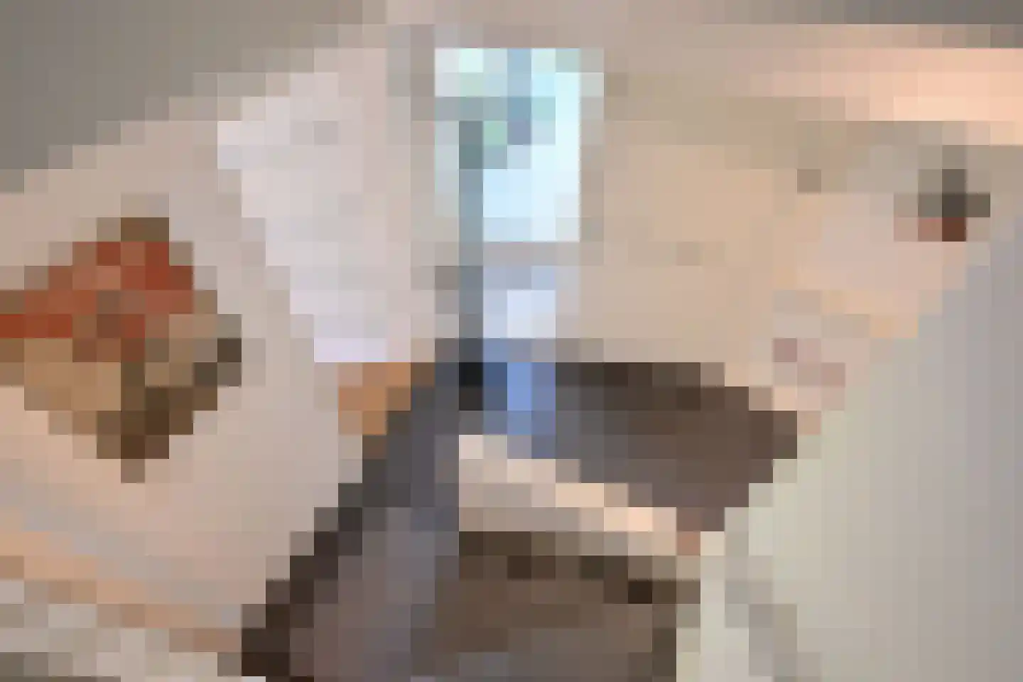Stijne van Sallandtstraat 6 Diepenveen thumbnail 21