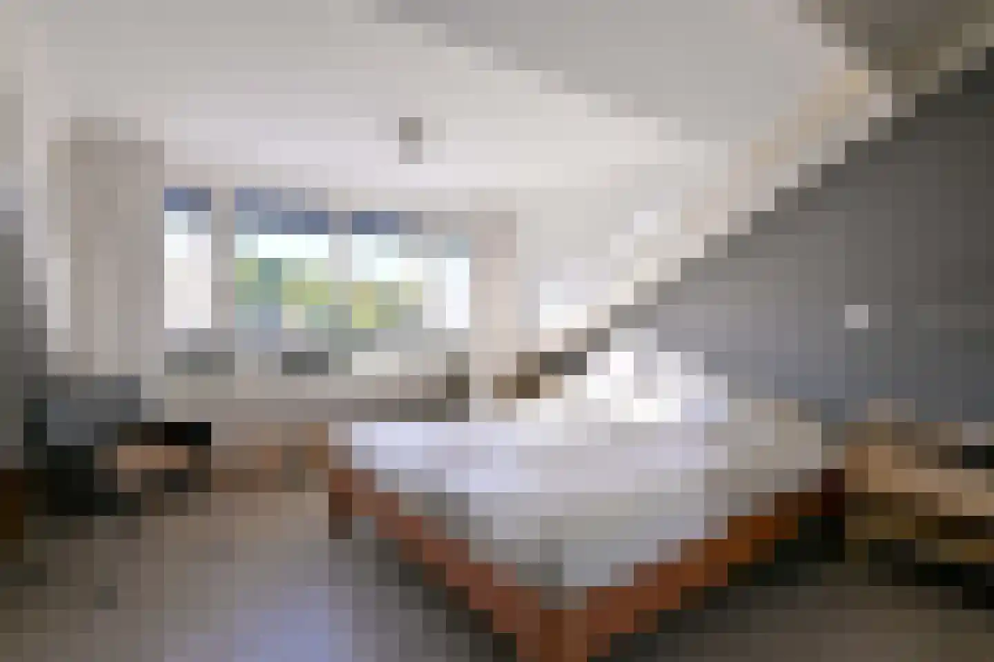 Stijne van Sallandtstraat 6 Diepenveen thumbnail 27