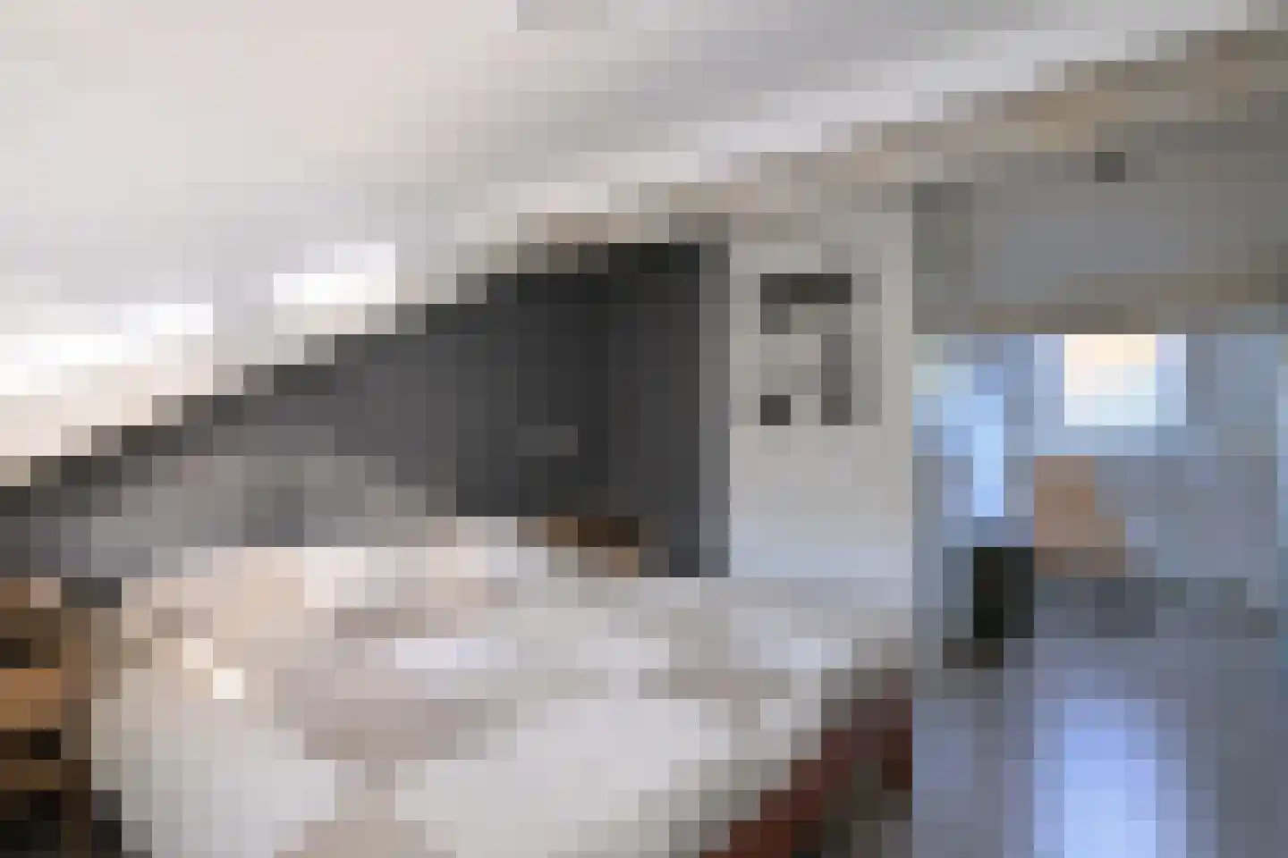 Stijne van Sallandtstraat 6 Diepenveen thumbnail 30
