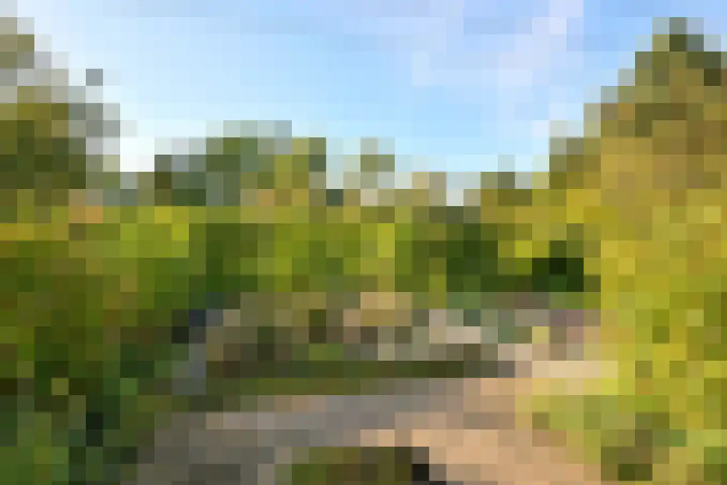 Stijne van Sallandtstraat 6 Diepenveen thumbnail 34
