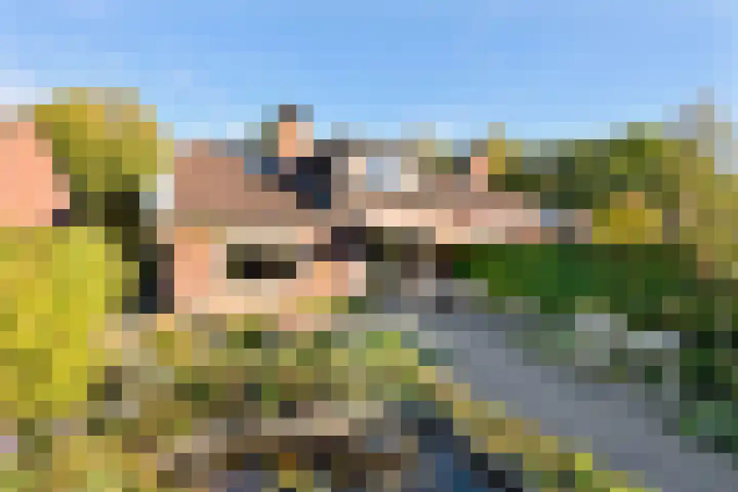 Stijne van Sallandtstraat 6 Diepenveen thumbnail 37