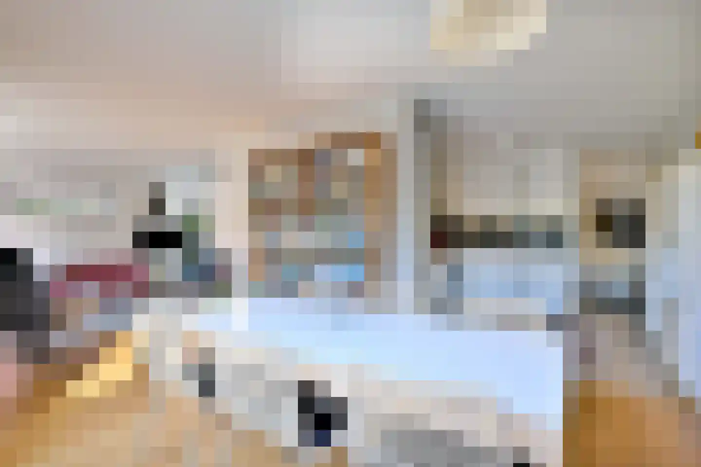 Stijne van Sallandtstraat 6 Diepenveen thumbnail 9