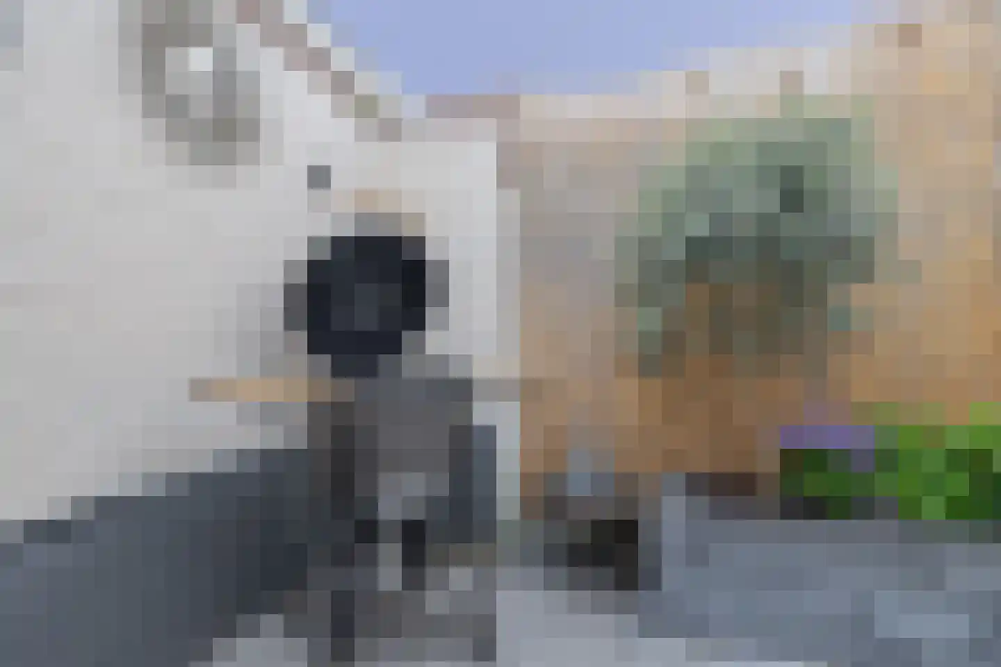 Stijntjesduinstraat 38 Noordwijk thumbnail 26
