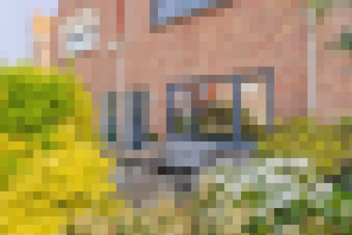 Stijntjesduinstraat 38 Noordwijk thumbnail 27