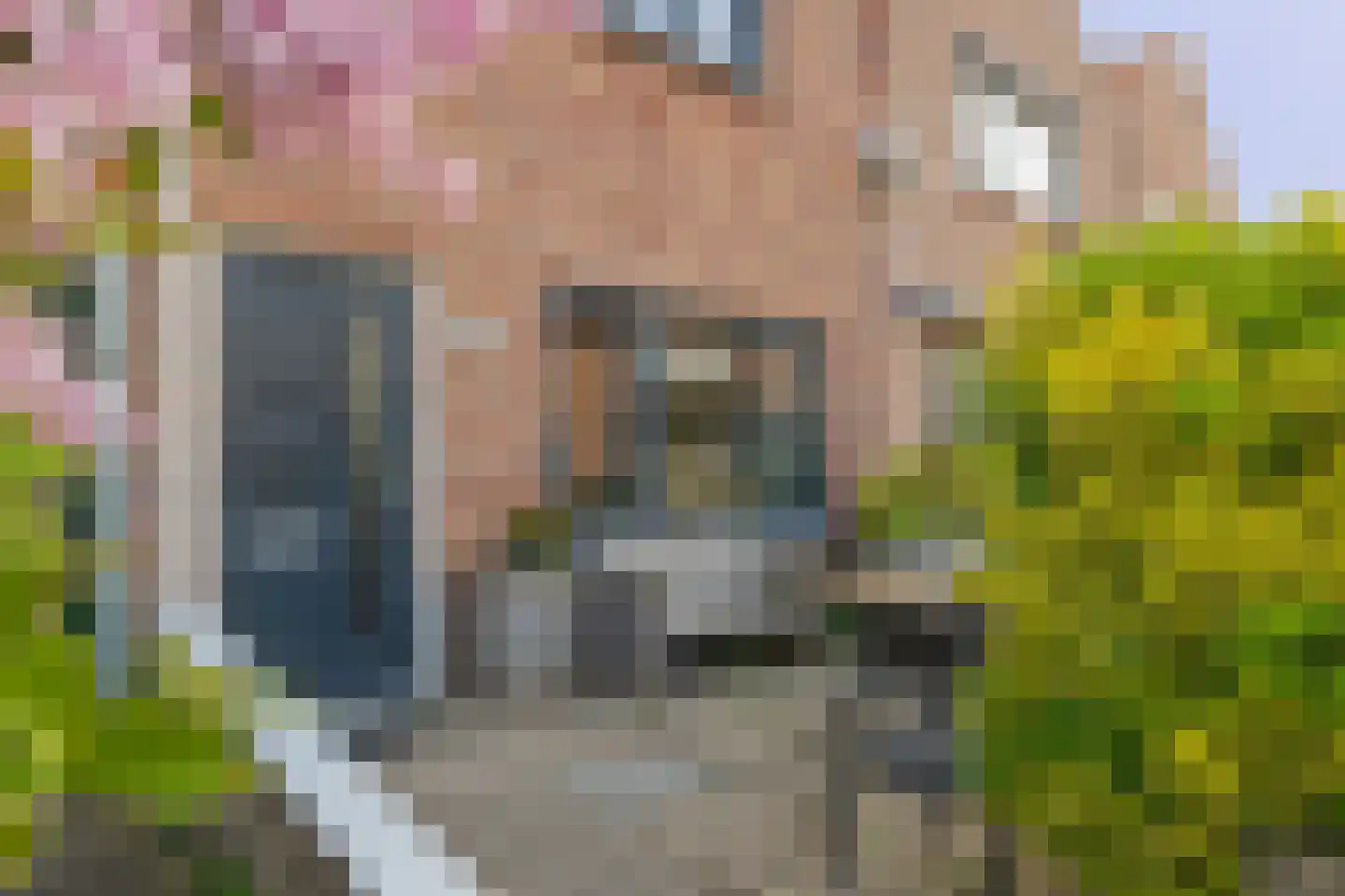 Stijntjesduinstraat 38 Noordwijk thumbnail 4
