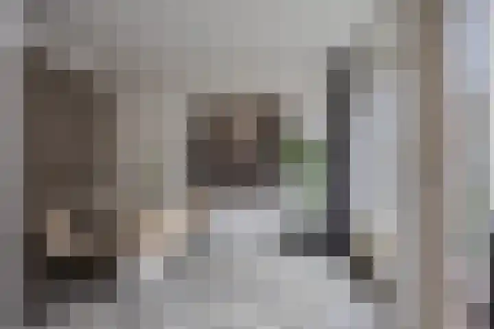 Stikke Hezelstraat 13 Nijmegen thumbnail 10