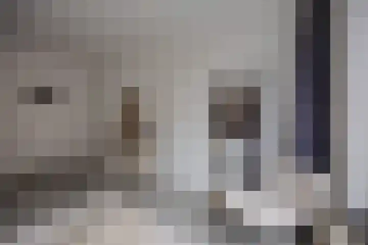 Stikke Hezelstraat 13 Nijmegen thumbnail 8