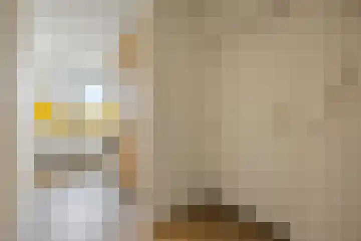 Stikke Hezelstraat 9 Nijmegen thumbnail 13