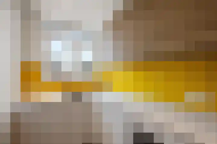 Stikke Hezelstraat 9 Nijmegen thumbnail 15