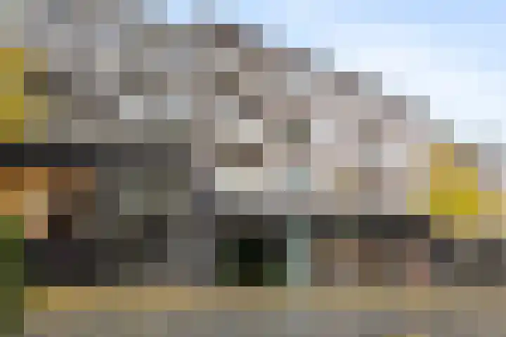 Stikke Hezelstraat 9 Nijmegen thumbnail 36