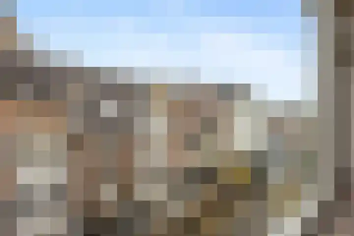 Stikke Hezelstraat 9 Nijmegen thumbnail 5