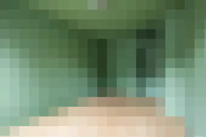 Stikke Hezelstraat 9 Nijmegen thumbnail 7