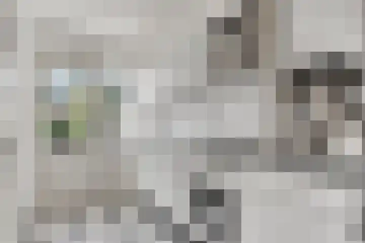 Stikkelwaard 130 Alkmaar thumbnail 13