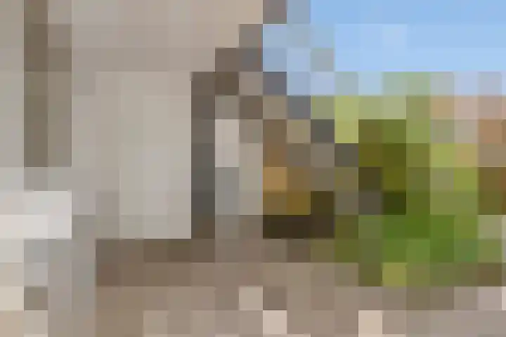 Stikkelwaard 130 Alkmaar thumbnail 14