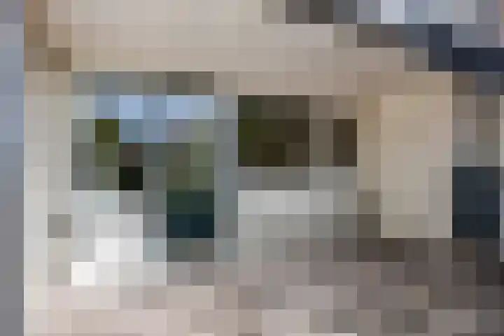 Stikkelwaard 130 Alkmaar thumbnail 15