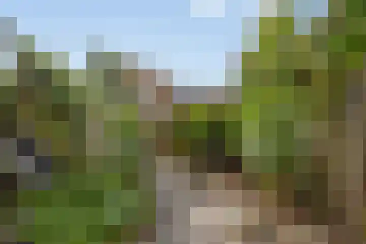 Stikkelwaard 130 Alkmaar thumbnail 16