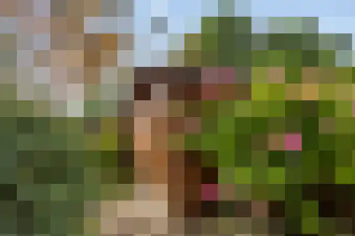 Stikkelwaard 130 Alkmaar thumbnail 17